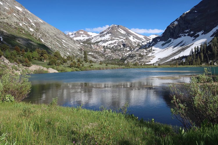 Kennedy Lake reflections