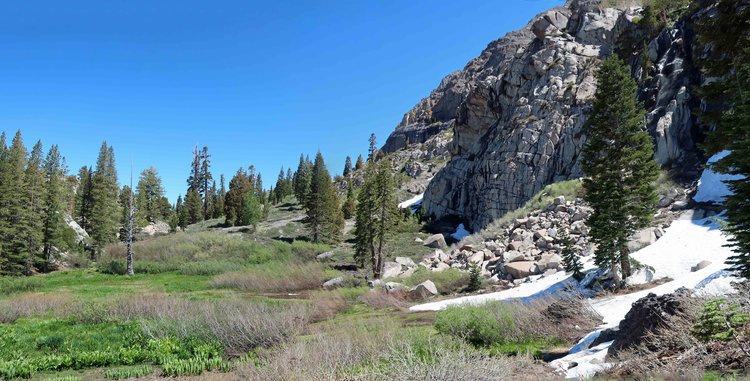 Saucer Meadow