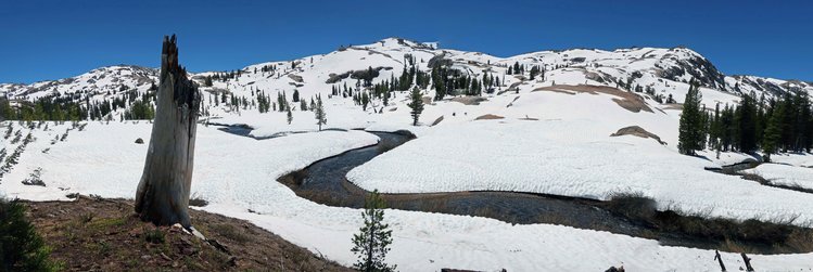 Lunch Meadow