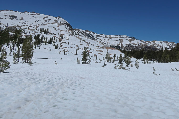 Snow on the north side of Lunch Meadow