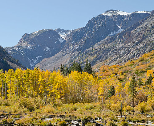 Lundy Canyon - mostly well past peak except for this spot!