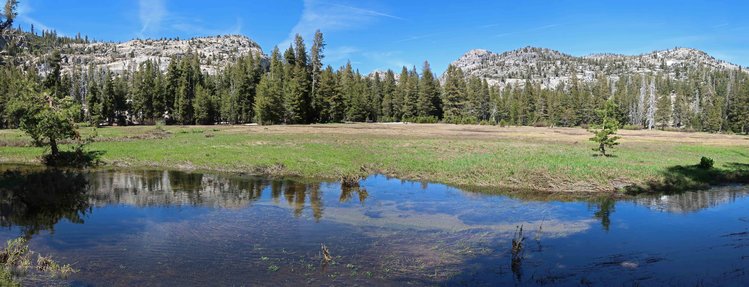Piute Meadow