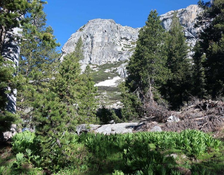 Nice buttress between Piute Lake and Piute Meadow