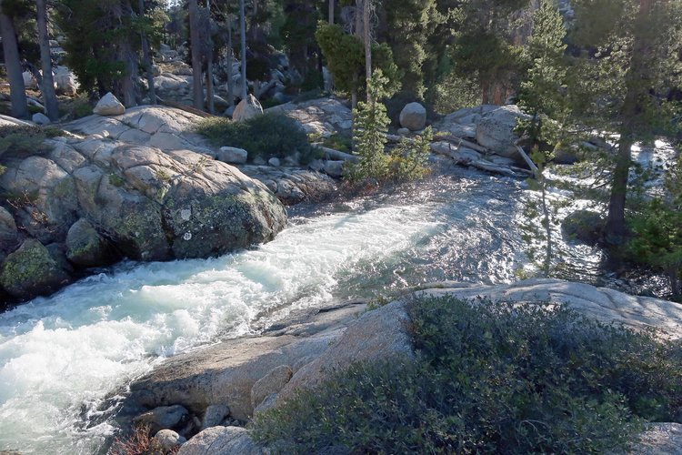 Creek from Bear Lake is roaring!