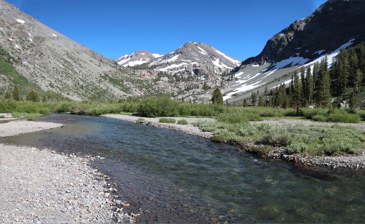 Inlet &quot;beach&quot; at Kennedy Lake