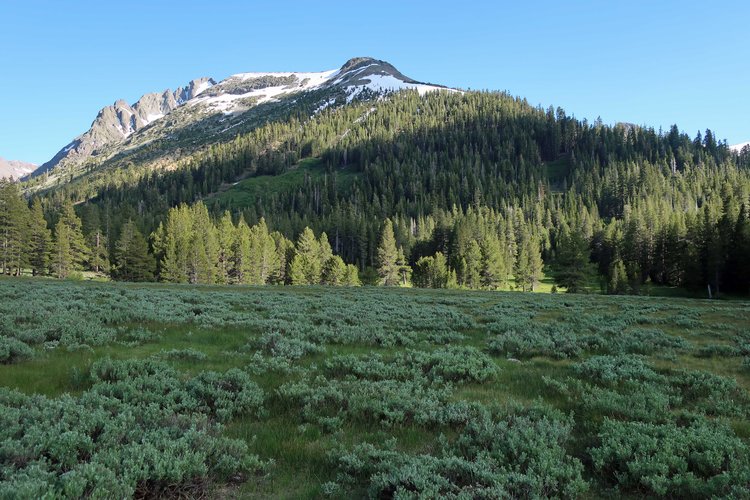 North Ridge of Kennedy Peak with sagebrush in foreground