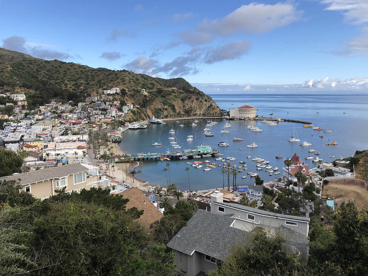 Trans-Catalina Trail-0737.jpg