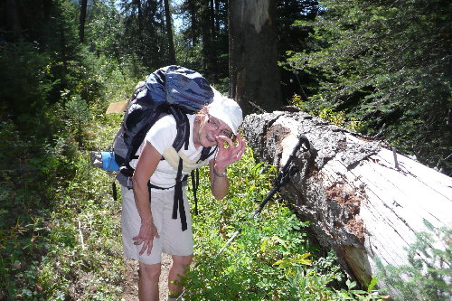kathy and Huckleberry, small but tasty (the berry) ahh I'm not sure I should have said that.