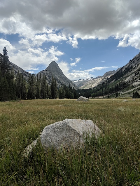 Big Wet Meadow.jpg