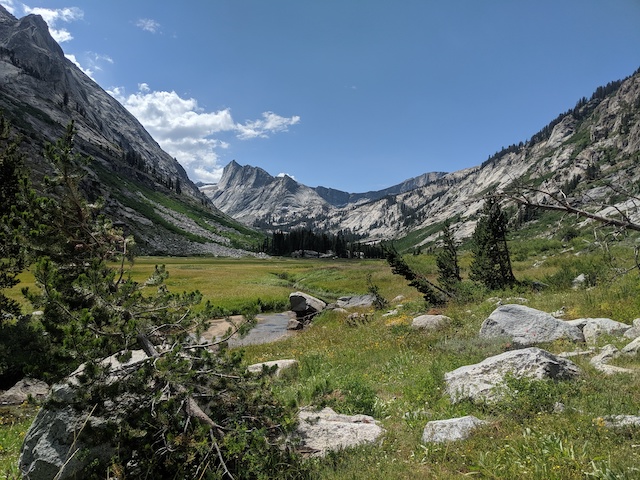 Ranger Meadow.jpg