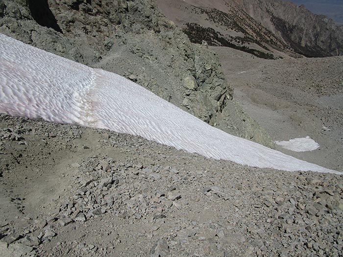 Shepherd-snow1.jpg