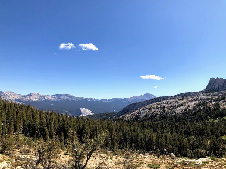 Looking back down Budd Creek drainage, Lembert Dome in center.