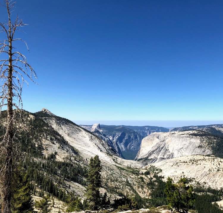 Viewpoint just west of Sunrise Lake &amp; Clouds Rest trail junction.