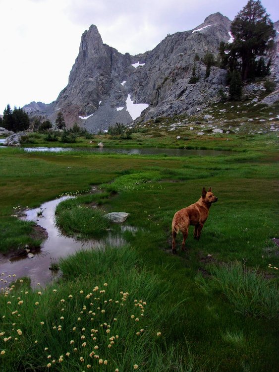 100_2679.jpg