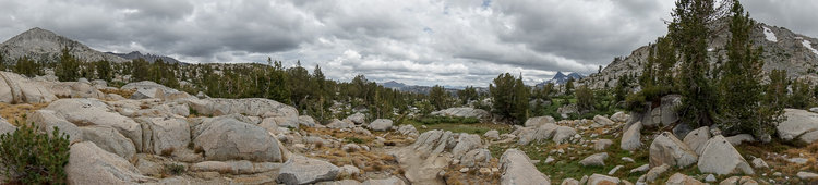 DSC07402.jpg