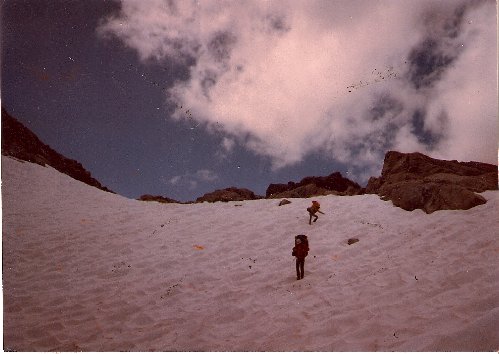 Snow descent.jpg