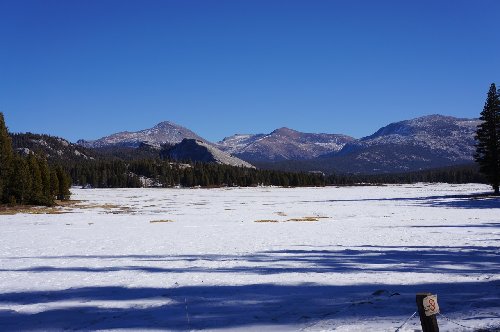 Tuolumne Meadows