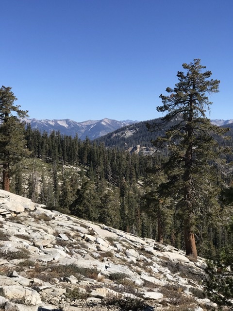 7EC83E47-212B-4624-86F1-F0029198C384.jpeg