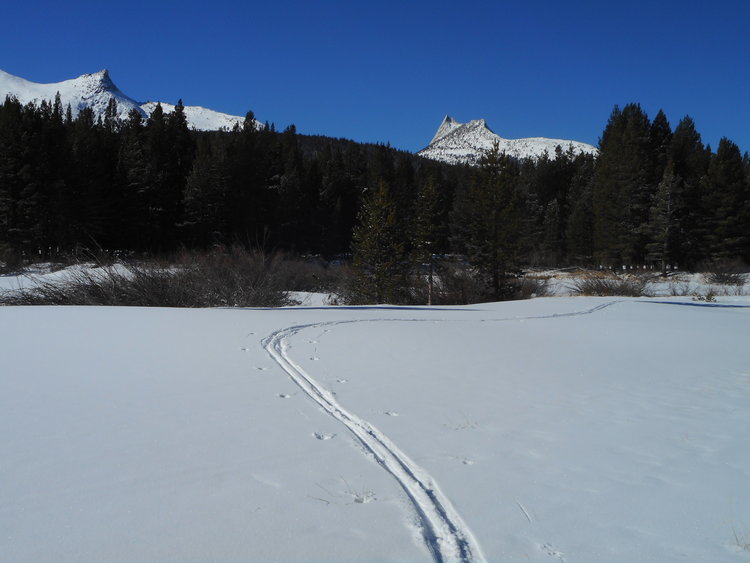 DSCN1181.JPG