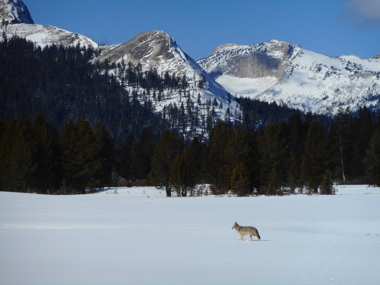 DSCN1228.JPG