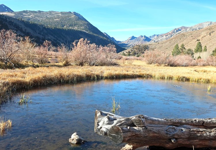 Frozen meadows up Green Creek