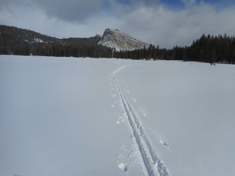 DSCN1166.JPG