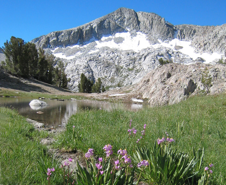 Upper Alpine Creek