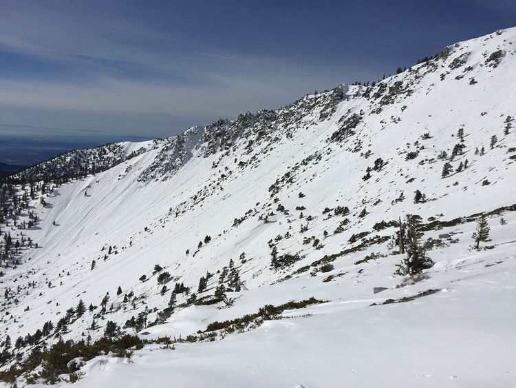 baldy 3.jpg