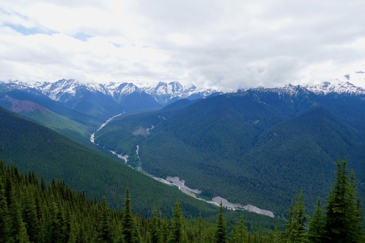 Suiattle River from Miner's Ridge.