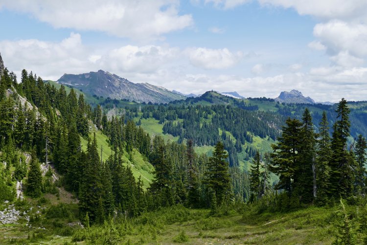 Indian Head Peak from ridge east of Kodak Peak, south of Indian Pass.