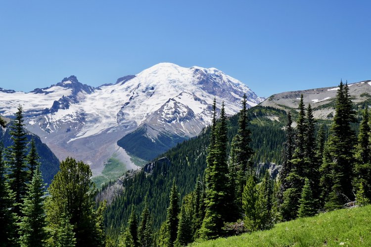 Little Tahoma Peak &amp; Emmons Glacier from Sunrise.