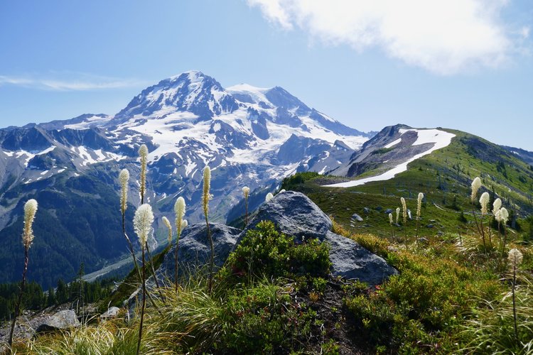 Mt Rainier from the ridge above Sunset Park.