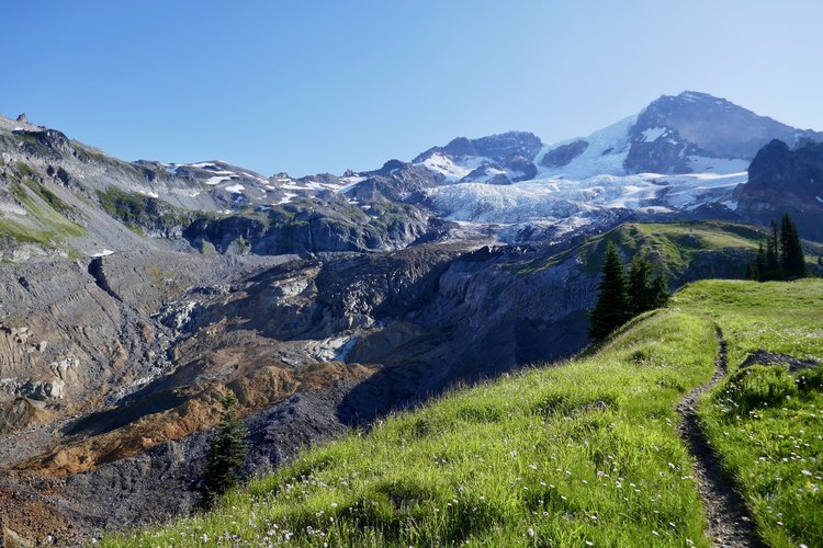 Mt Rainier from Emerald Ridge.