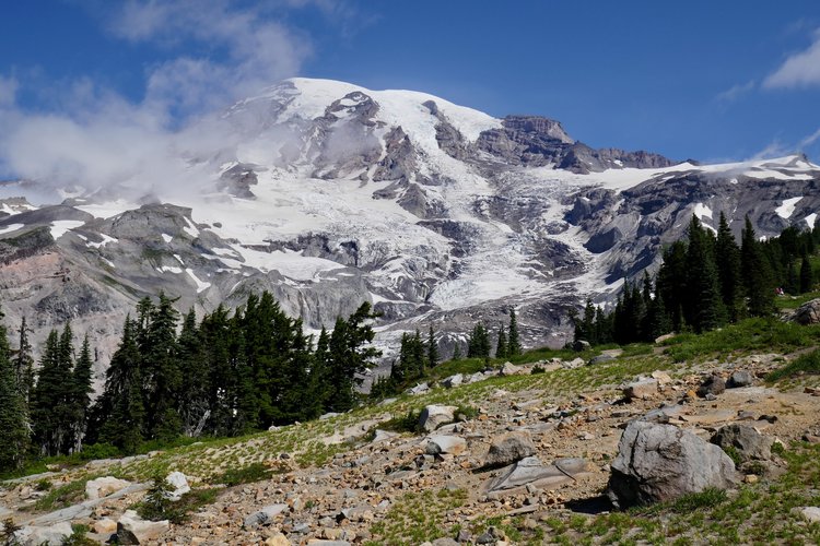 Nisqually Glacier from trails at Paradise.