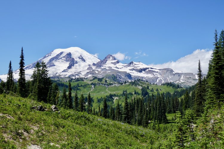 Mt Rainier from trail on climb to Indian Bar.