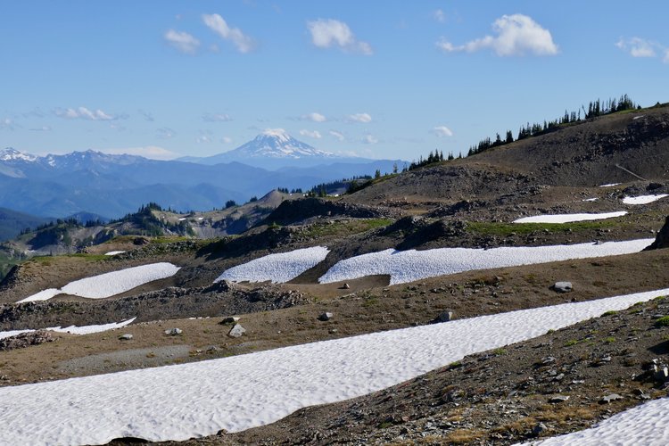 Mt Adams from just below Panhandle Gap.