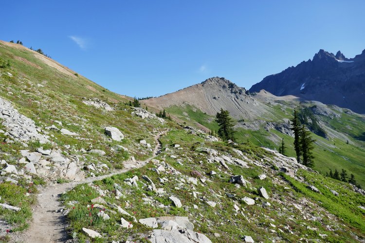 Cispus Pass from the south.