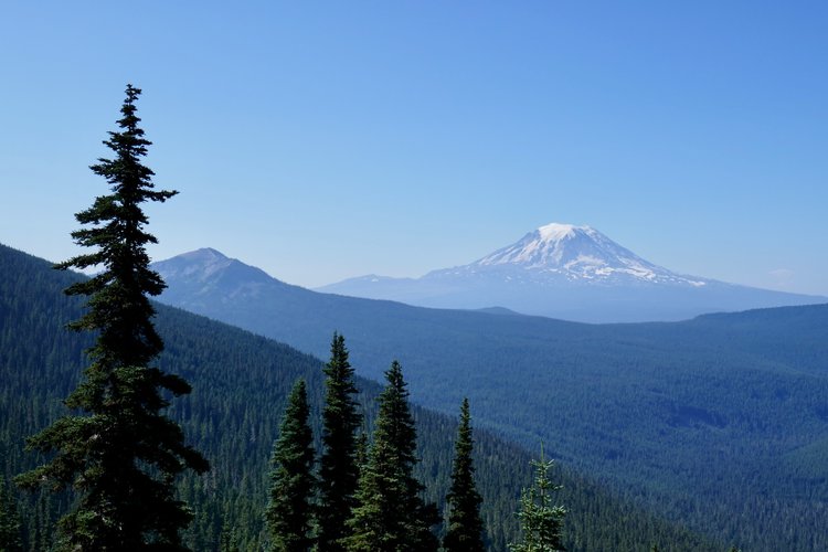 Mt Adams from somewhere south of Cispus Pass.