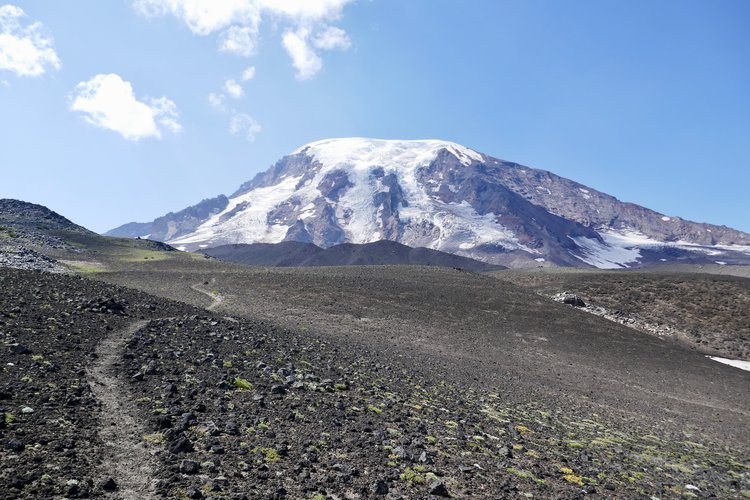 Mt Adams from the Highline Trail.