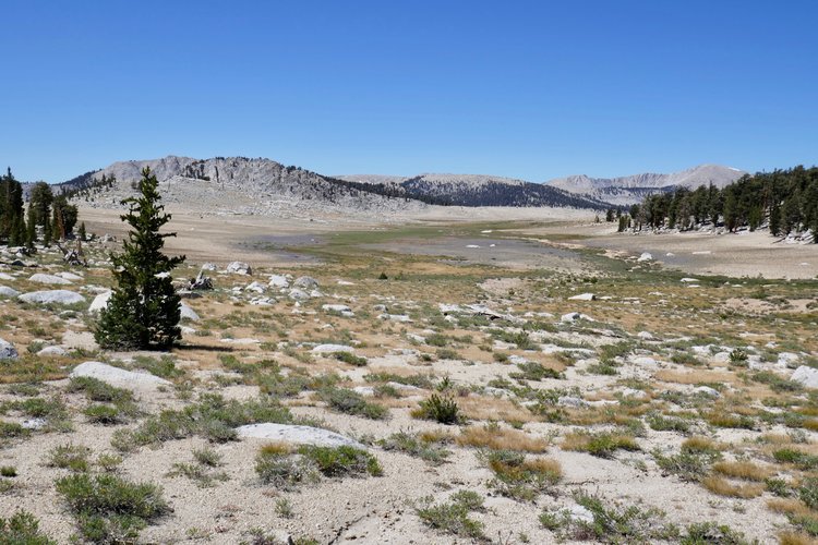 Looking west from somewhere near location 010. That ridge on the left side of the photo is due south of location 012.