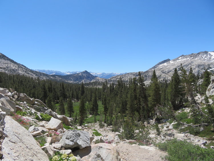IMG_1424.JPG