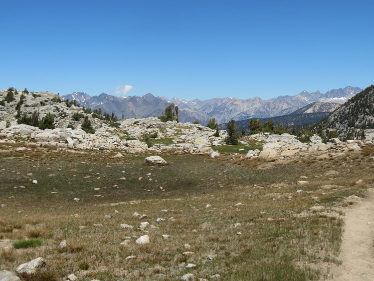 IMG_1428.JPG