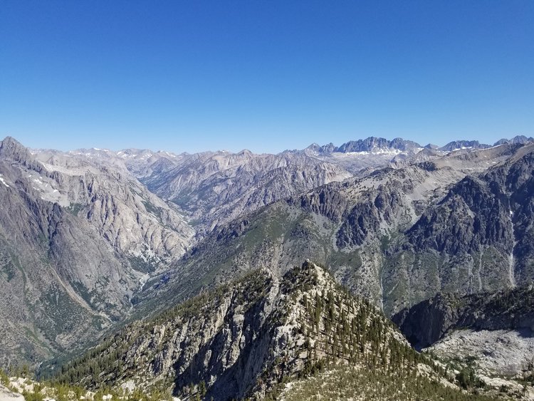 20190810_104217.jpg
