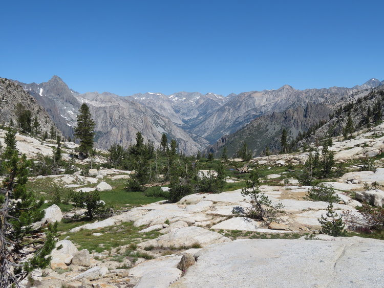 IMG_1520.JPG