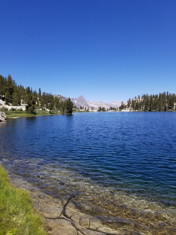 20190810_120756.jpg