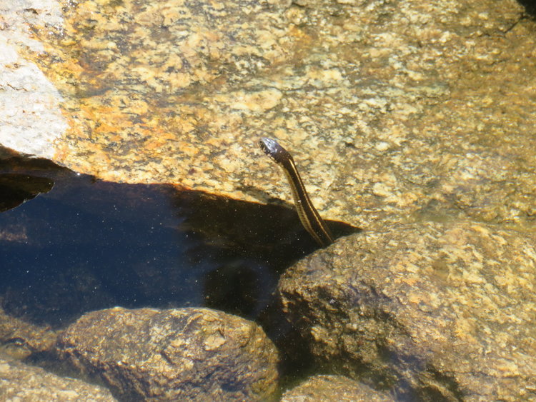 IMG_1732.JPG