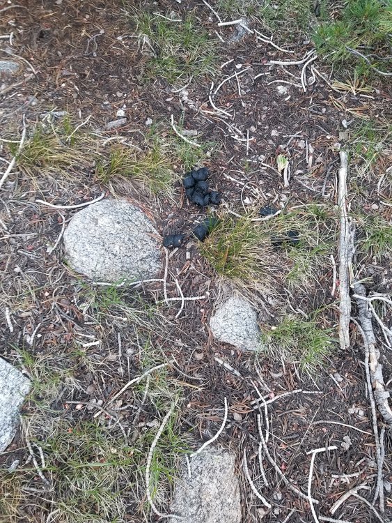 20190812_080046.jpg