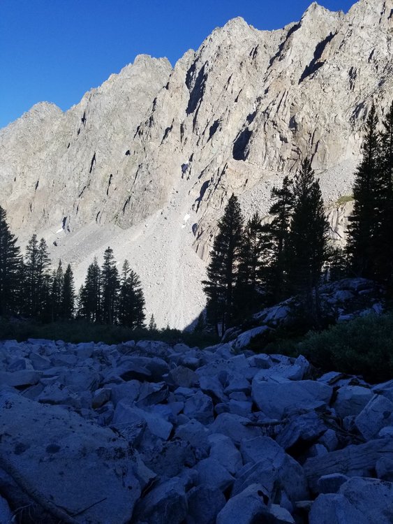 20190812_081747.jpg