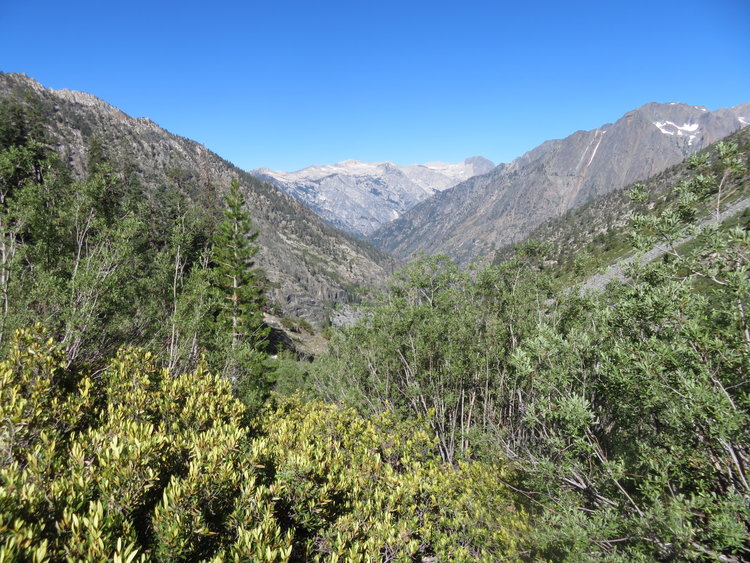 IMG_1835.JPG