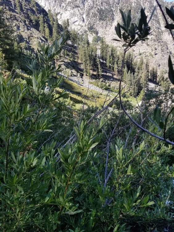 20190812_093541.jpg